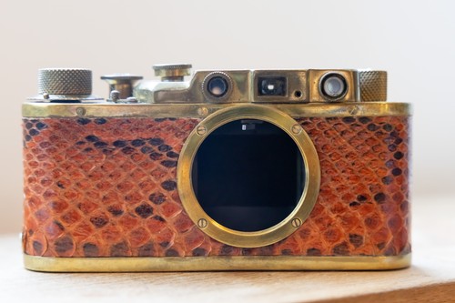 Leica brass snake skin - snake,
