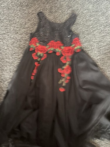 Cinderella dress aged - cinderella,