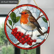 Robin Bird on Red Berries in