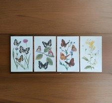 Butterfly Wall Art Prints Set