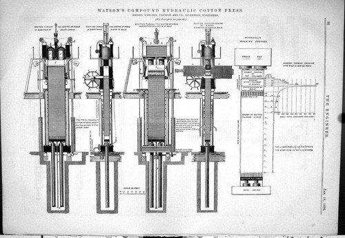 Antique old print 1878 watson - 1878,