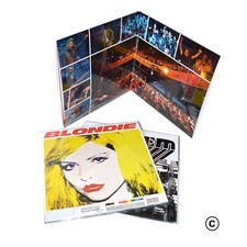 40 12” Inch  Vinyl Double