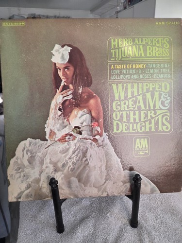 Vinyl record case vtg - record, 12"