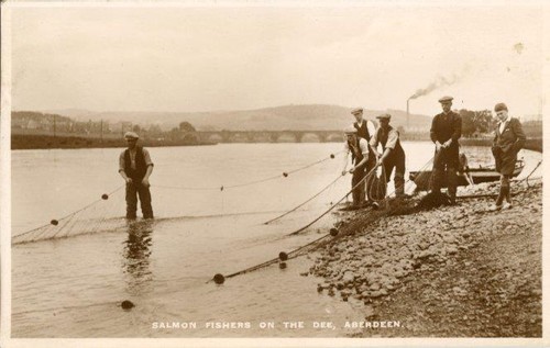 Real photo postcard - postcard, salmon