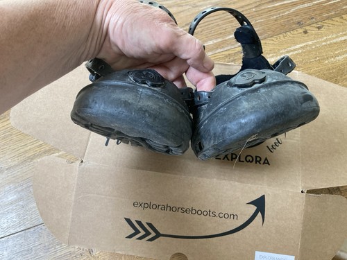 Pair explora magic hoof - pair,