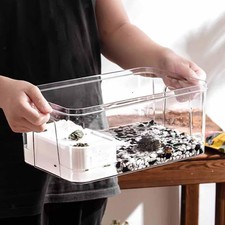 Turtle Tank Sturdy Tortoises