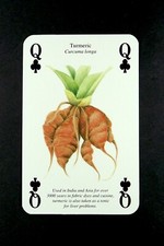 1 x playing card of the spice Turmeric : Queen of Clubs