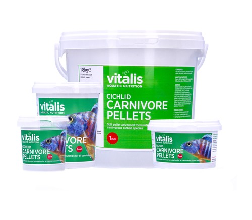 Vitalis rift lake red - rift, cichlid