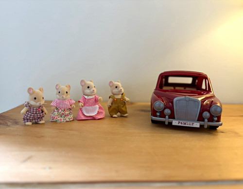 Epoch sylvanian families rare - families,