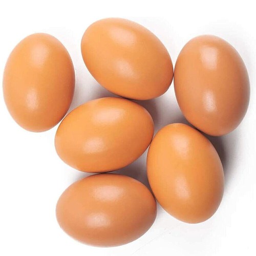 Pack dummy chicken - pack,