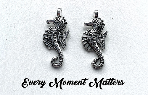 Tibetan silver seahorse - x,