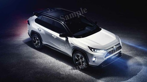 Toyota rav4 hybrid 2019 high - toyota,