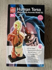 Edu Toys Anatomically Accurate Model Kit Human Torso Medical Boxed 27cm Hirst