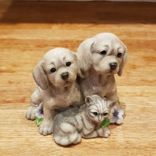 Leonardo collection puppies - collection,