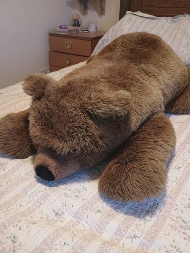 Large 95cm steiff bear yellow - large,