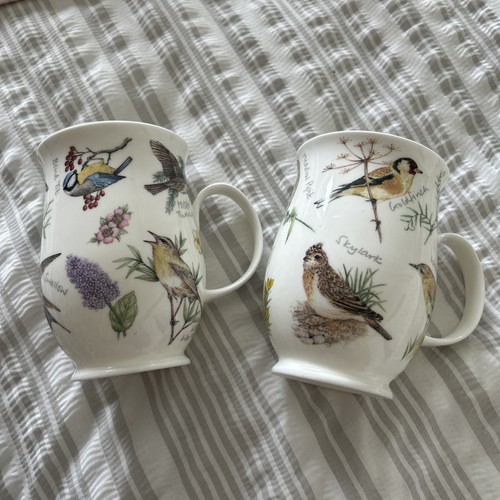 Dunoon dawn chorus design by - dunoon,