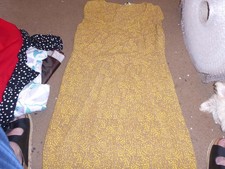 Dickens and Jones mustard