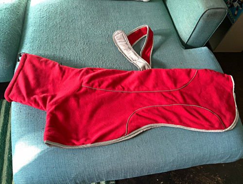 Greyhound fleece dog - greyhound,