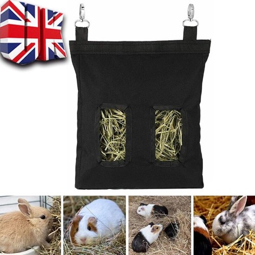 Guinea pig rabbit - pig,
