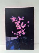 Shooting The Tiger. Photobook by