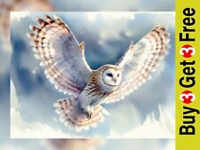 Majestic Flying Owl, Detailed