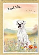 Boxer white Dog Thank You