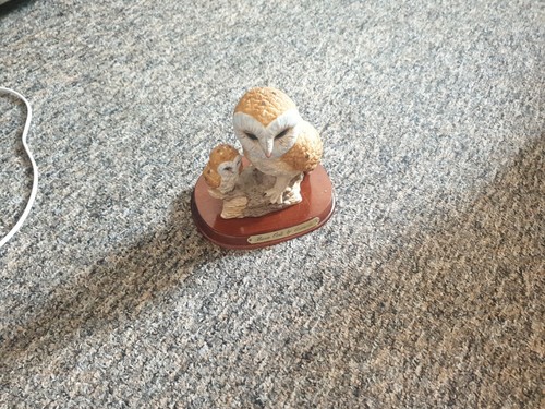 Leonardo barn owl collector - leonardo, collector's