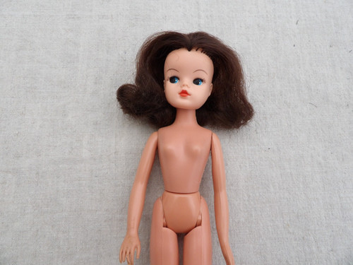 1980 pedigree sindy - 1980’s, 2