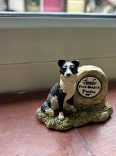 Border Fine Arts Border Collie