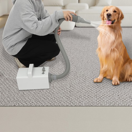 2800w pet hair dryer dog - pet,