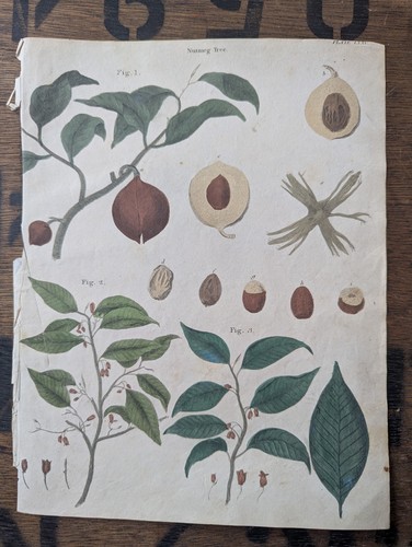 Antique c1815 natural - antique,