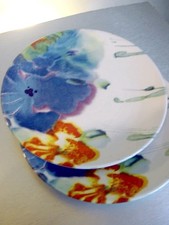 Poole Pottery – IRIS PLATES x 2 – Janice Tchalenko 23 cm
