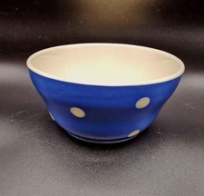 Sandygate Pottery Devon Blue