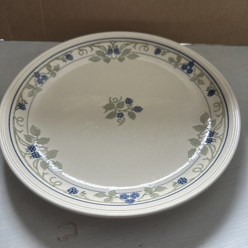 Staffordshire tableware blue - staffordshire,