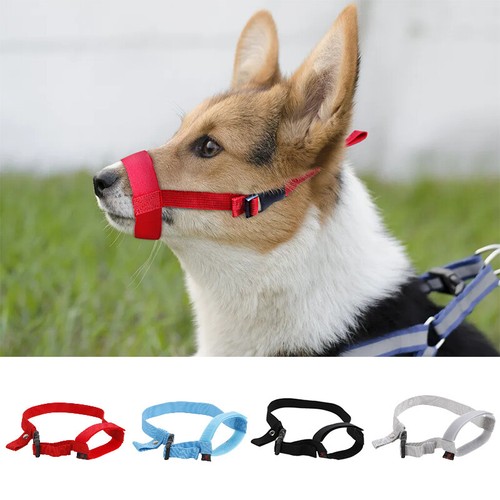 Pet dog mouth - pet, soft