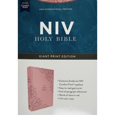NIV Bible Giant Print Edition
