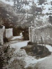 Vintage Real Photo Postcard