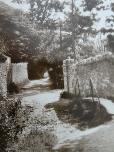 Vintage real photo postcard - vintage,