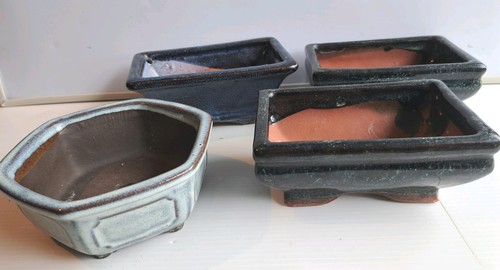 Small bonsai pots - bonsai,