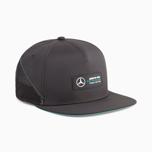 Mercedes benz amg petronas - amg,