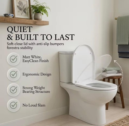 Shape toilet seat - d,