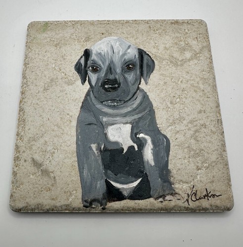 American staffordshire terrier - american,