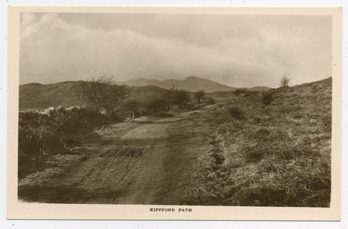 Kippford path dumfries - path,