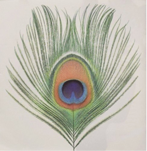 Xtc apple venus vol - -, 1