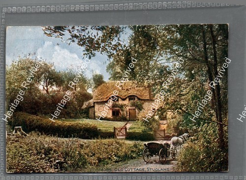 Vintage studland dorset - vintage,