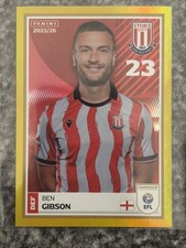 Panini efl 2025 - efl, sticker