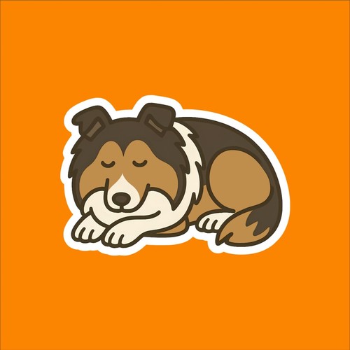 Shetland sheepdog - sheepdog, (sheltie)