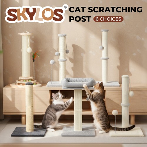 Skylos tall cat - cat, scratching
