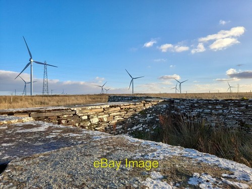 Photo 6x4 sheep shelter - sheep,