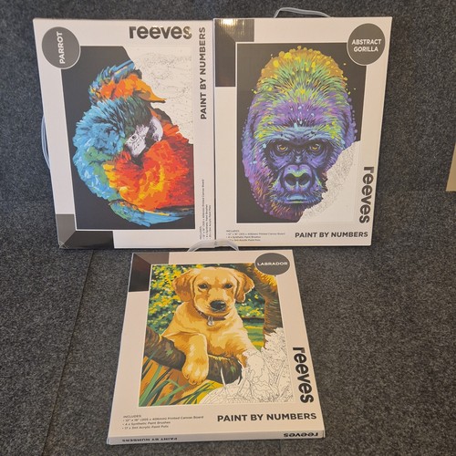 Reeves paint numbers pack - by,